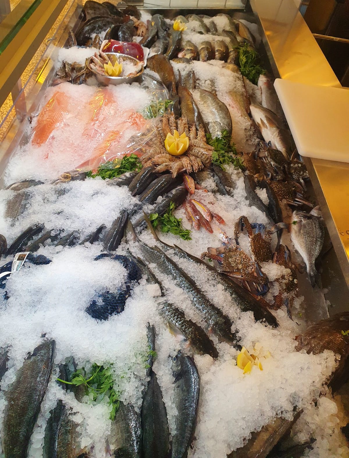 WhatsApp Image 2021-08-19 at 1.53.17 PM (1).jpeg